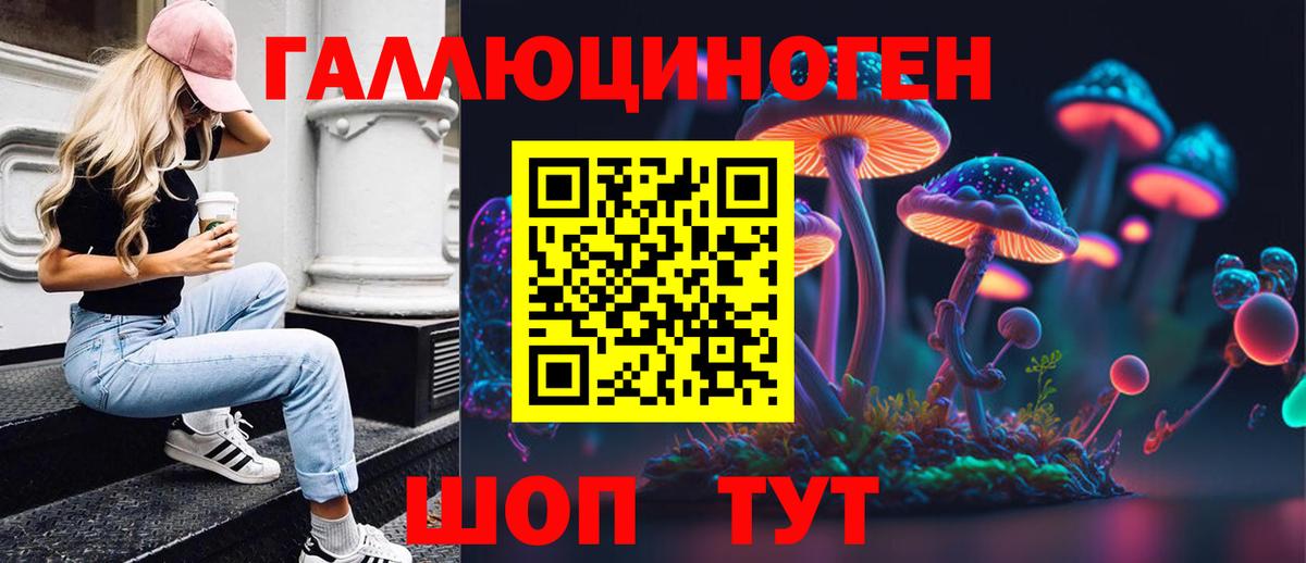 Галлюциногенные грибы Psilocybine cubensis Карпинск