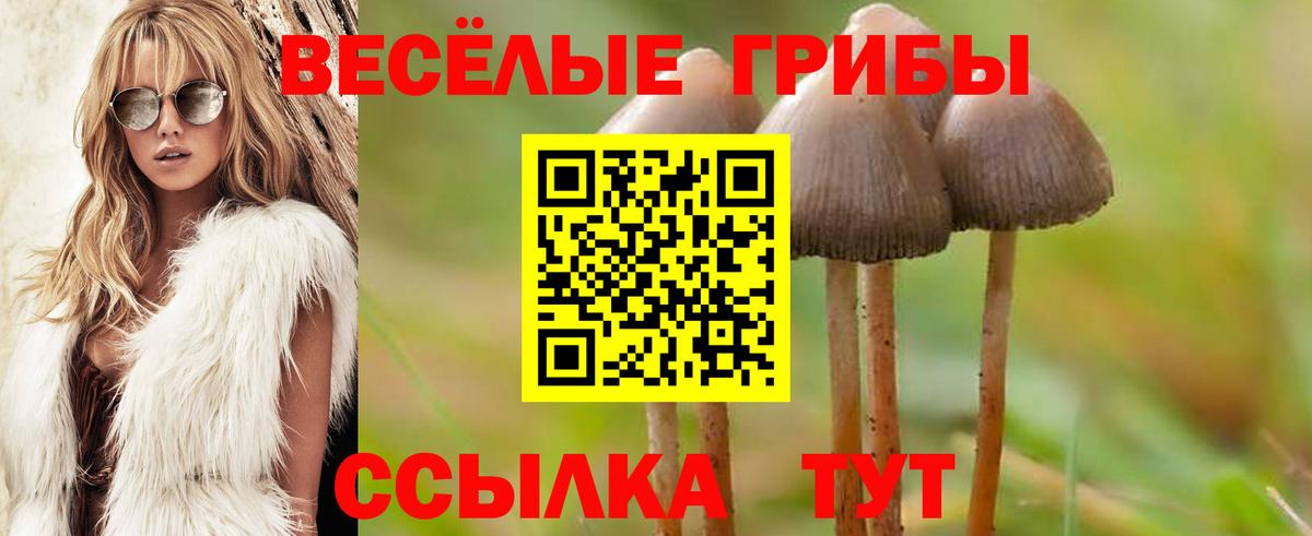 Псилоцибиновые грибы Psilocybine cubensis  Вход с VPN  купить  сайты  Карпинск 